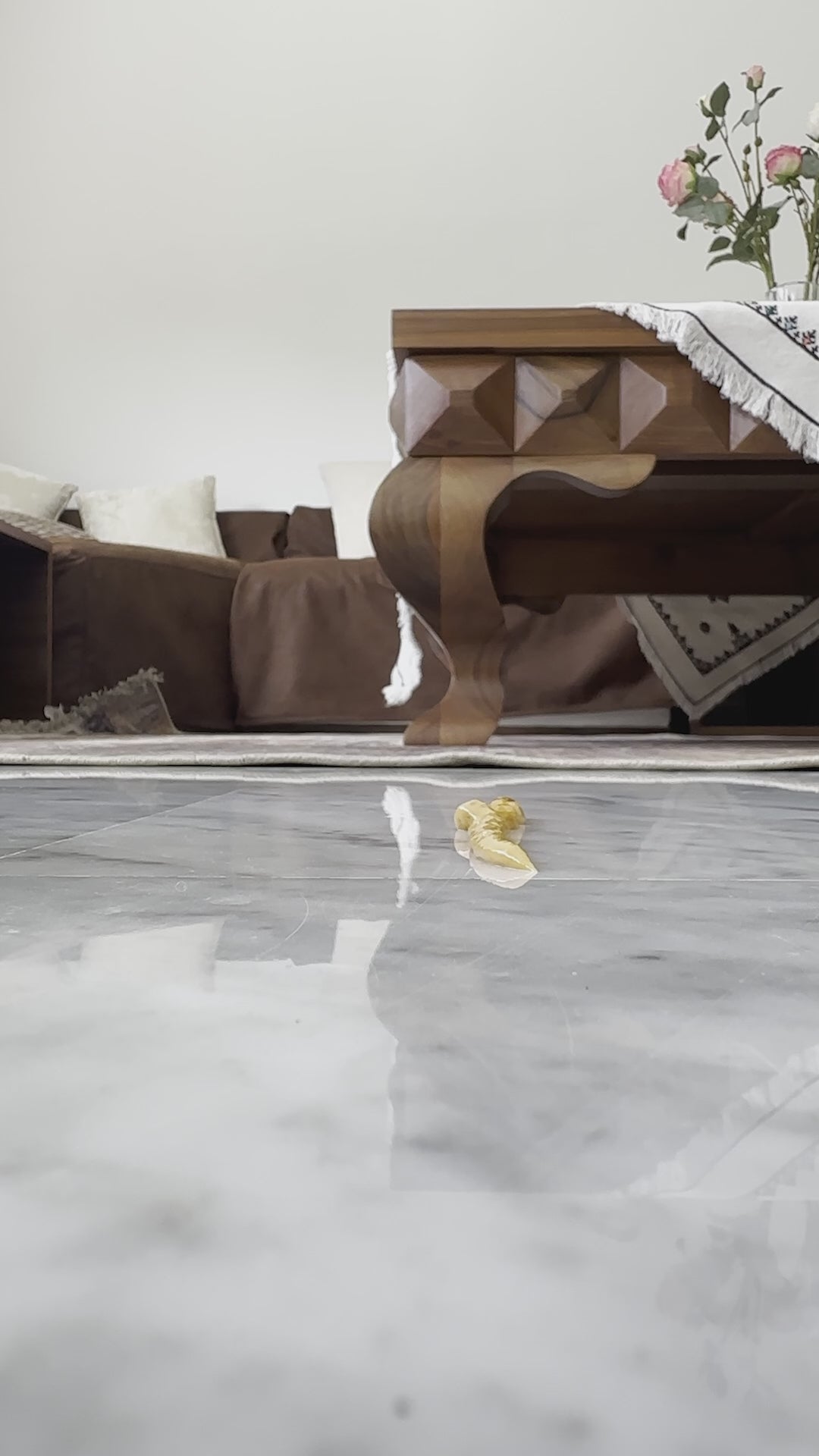 Charger la vidéo : 